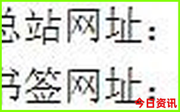 上海适合夏季游玩的景点
